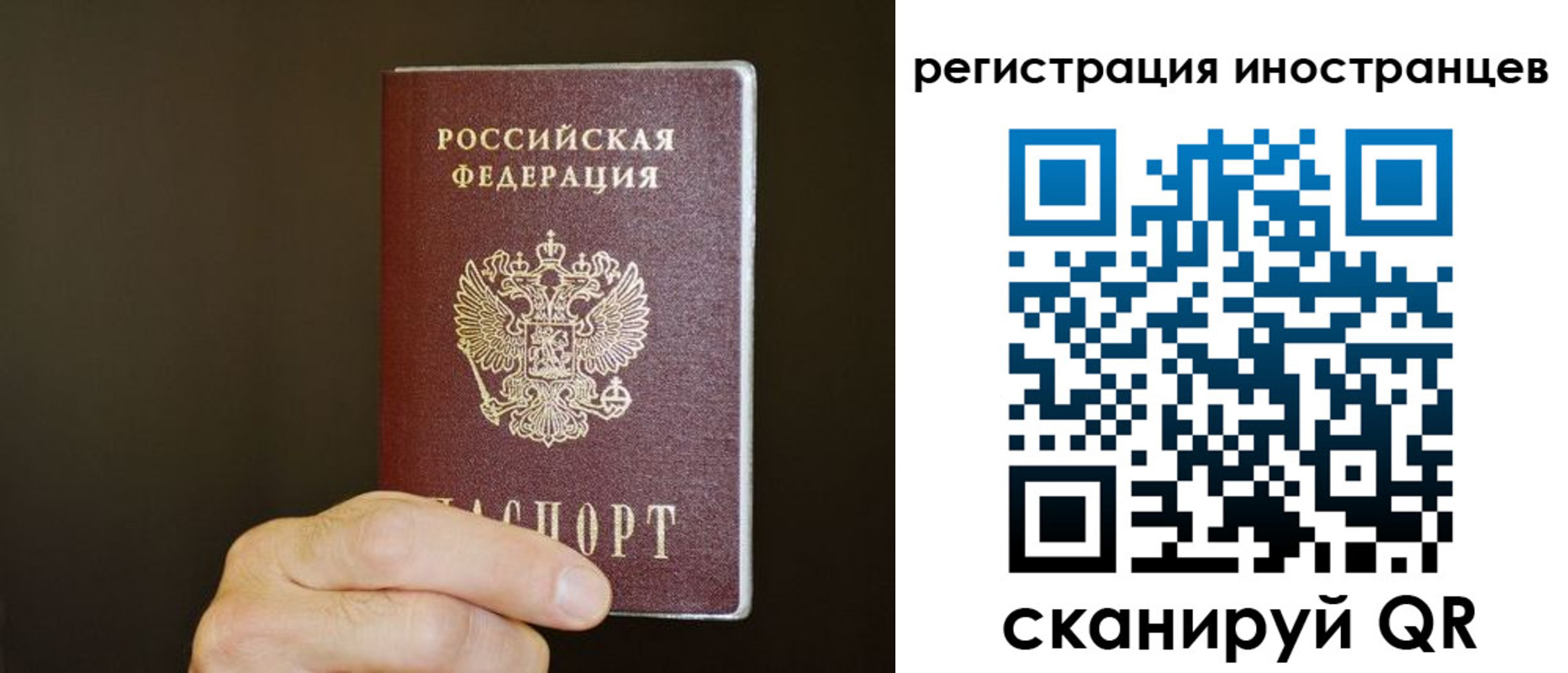 прописка в Новоалександровске